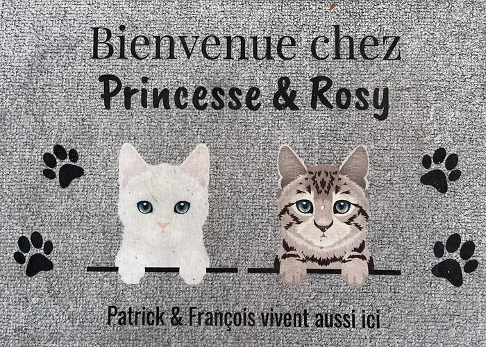 Duud Rum i privatbostad Castanet-Tolosan