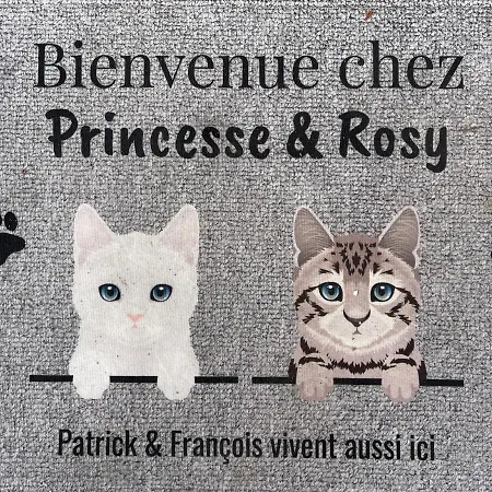 Duud Homestay Castanet-Tolosan