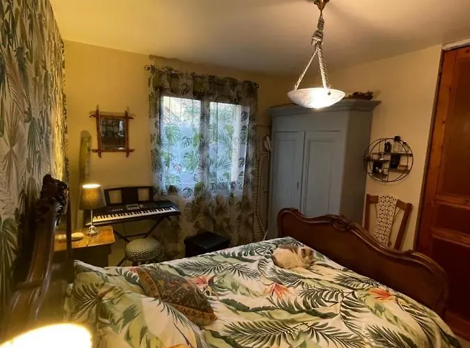 Duud Accommodatie bij particulieren Castanet-Tolosan